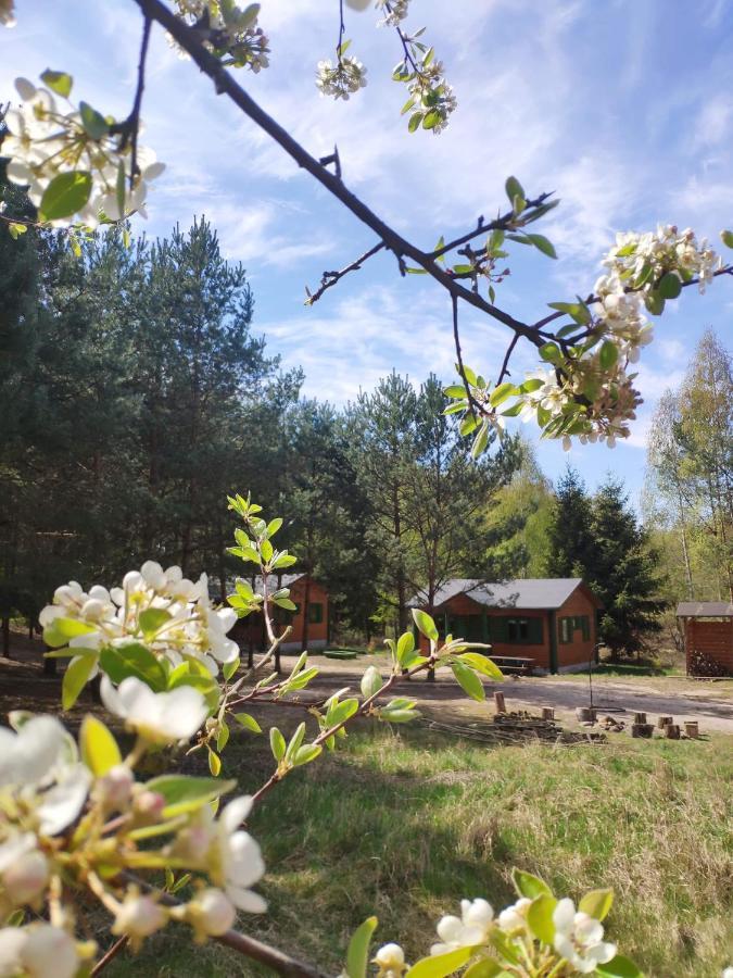 Agroturystyka Oaza Ciszy I Spokoju Miedzychod Eksteriør bilde